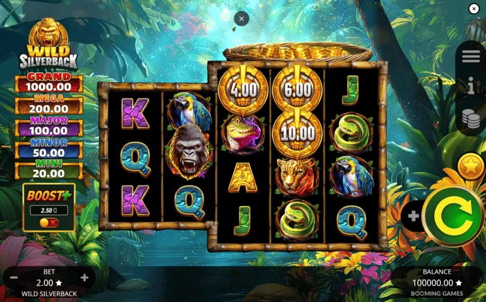 Wild Silverback – peamine mängukuva koos 3-3-4-4-4 võrgustikuga